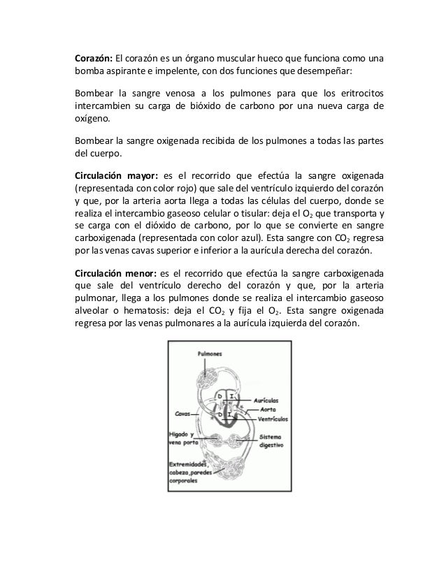 venas del corazon pdf